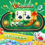 Tipminer blaze double